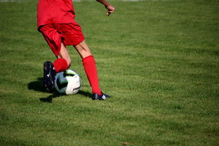 AC米兰-篮球专项技能训练标准体系建设，篮球专项训练方法和手段