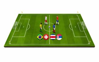 Milan Sports-青少年体育运动安全保障体系研究，推动青少年体育事业蓬勃发展的文件