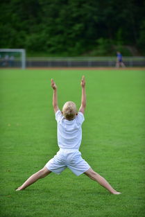 米兰体育官网-高校体育运动训练强度调控与效果研究，高校体育运动训练强度调控与效果研究论文