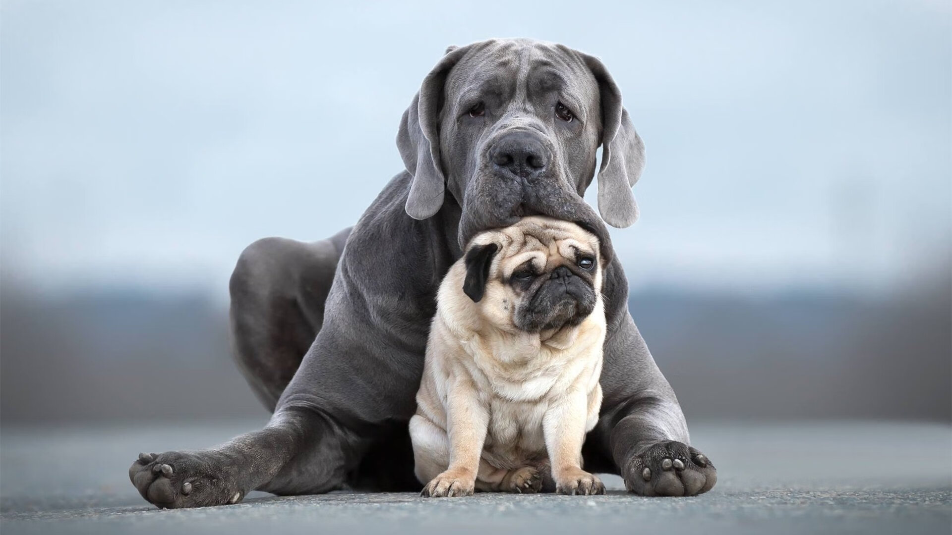 Milan Sports-“Cole Palmer双响建功，João Pedro锁定胜局”  第3张