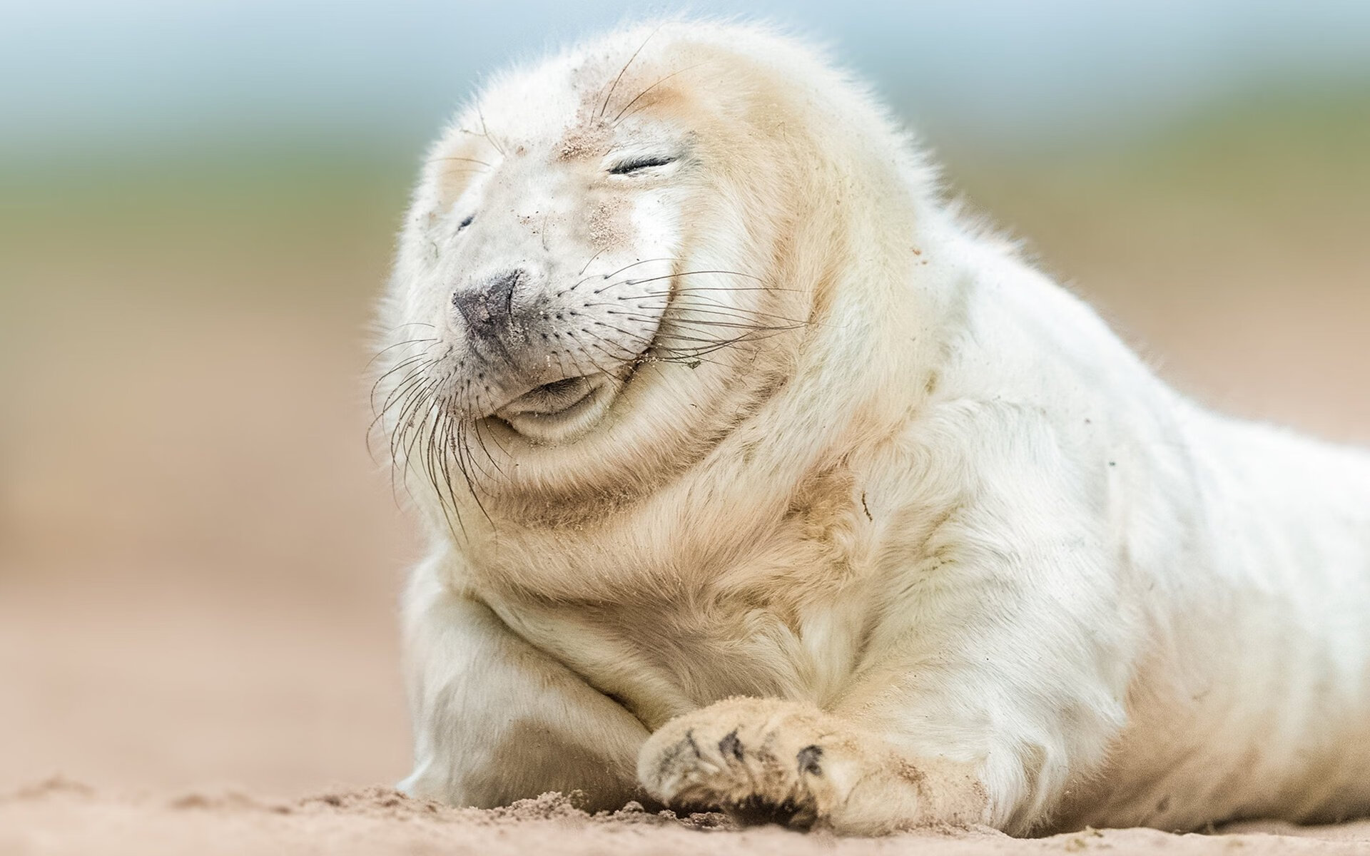 MILANSPORT下载-东亚杯中国女足战胜 球员拼搏精神令人感动，中国女足东亚杯最新消息