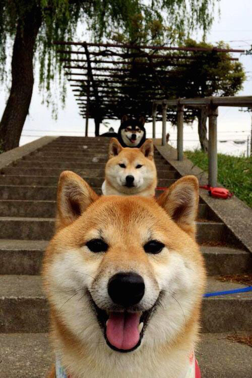 -中国女篮全场紧逼战术取得良好效果，中国女篮的比赛