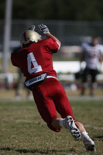 米兰体育APP-五大联赛争冠球队出场阵容中缺席后的战术重构，五大联赛全胜夺冠的球队