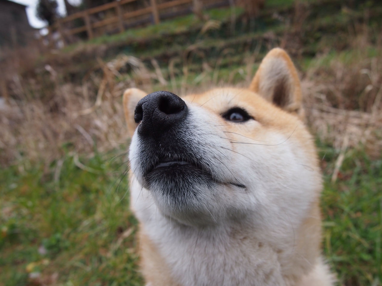 米兰登录入口-利物浦中后场连线打出高质量推进，利物浦的中场