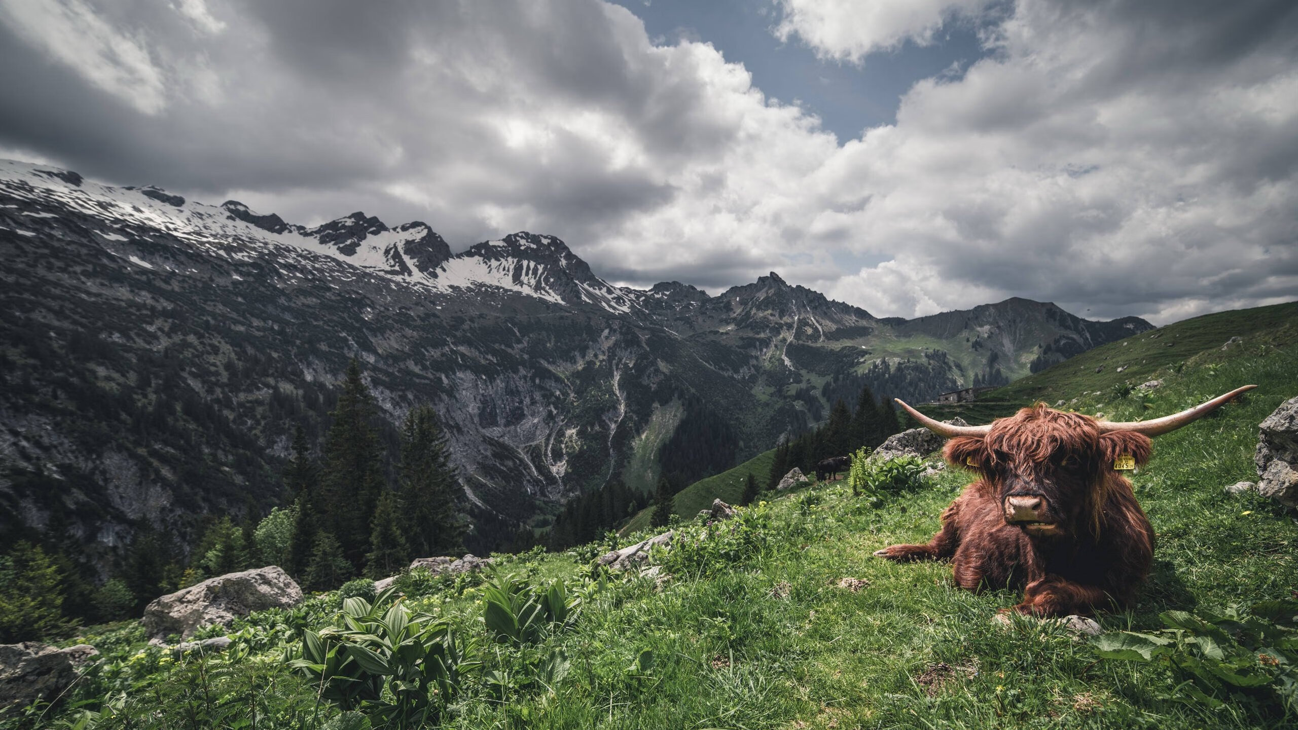 米兰体育官网-印度赛制透析：多层次赛事体系促进乒乓发展，印度公开赛
