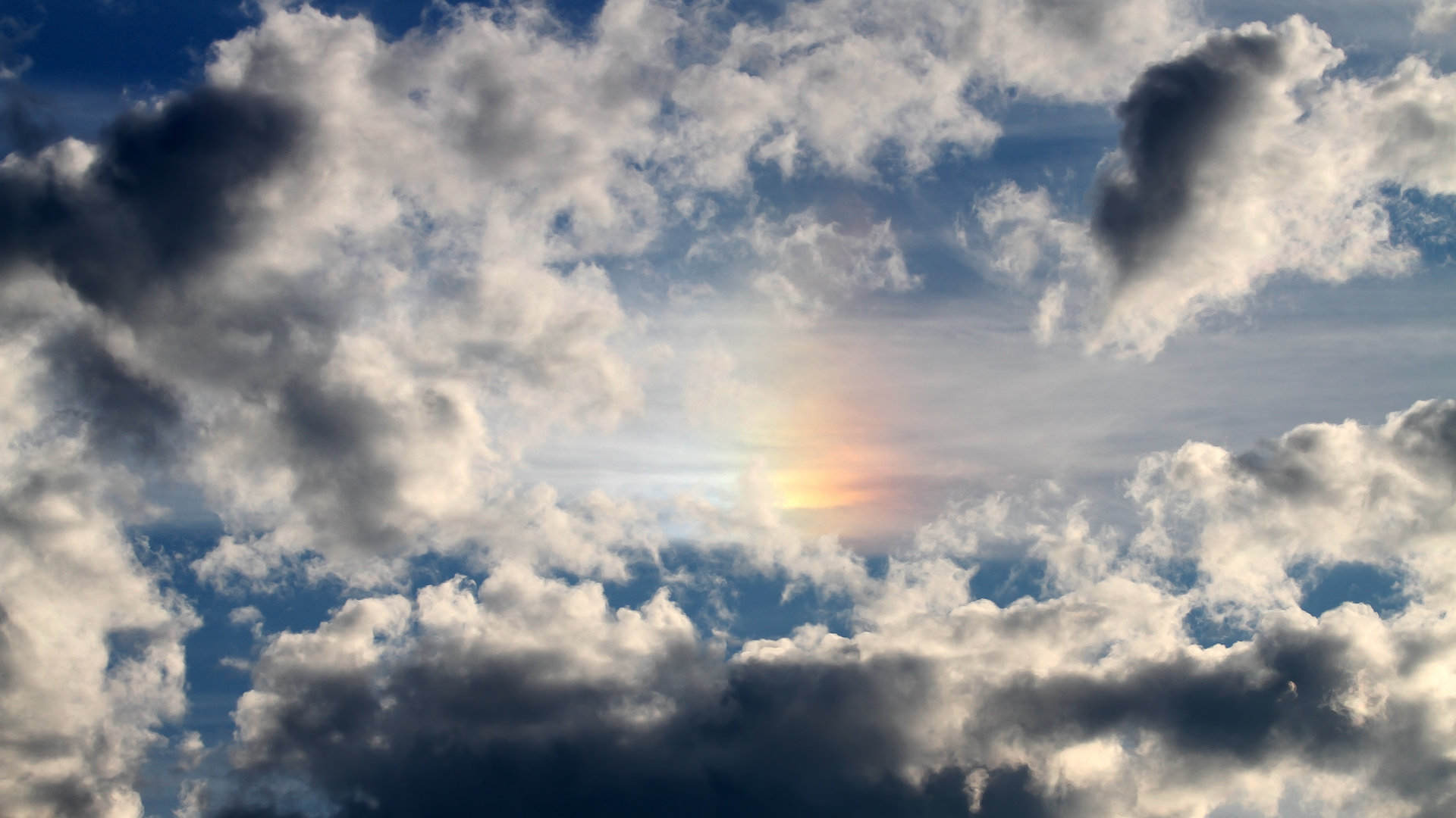 AC米兰-张雨霏强项出击 中国接力蝶泳段领先，张雨霏晋级蝶泳决赛