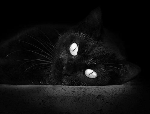 -中国女篮青年队出征欧洲拉练提升国际经验，中国队女子篮球