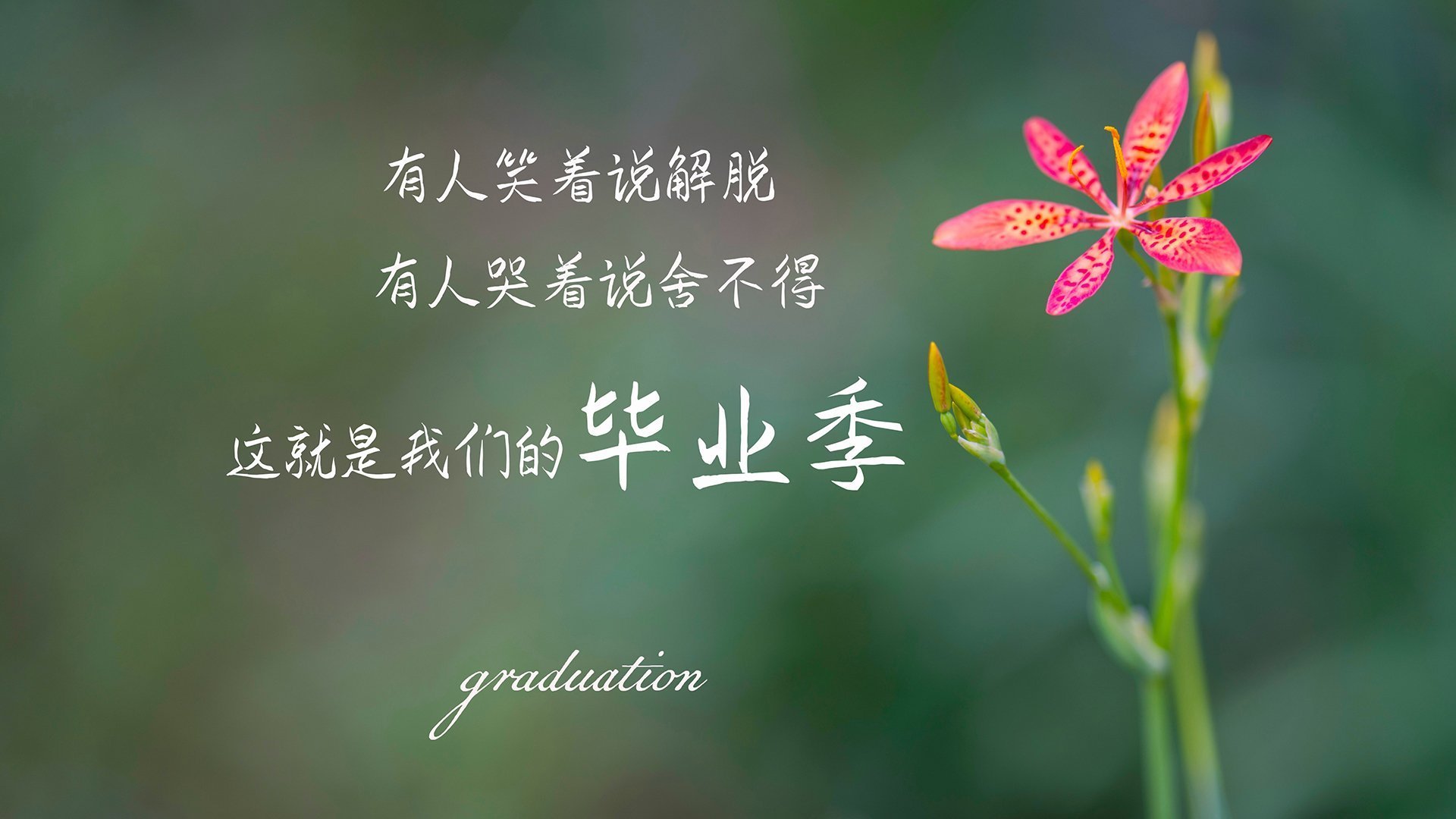 MILANSPORT下载-伊朗男篮在亚洲预赛中奋勇拼搏，冲击奥运会奖牌目标，伊朗男篮亚锦赛冠军