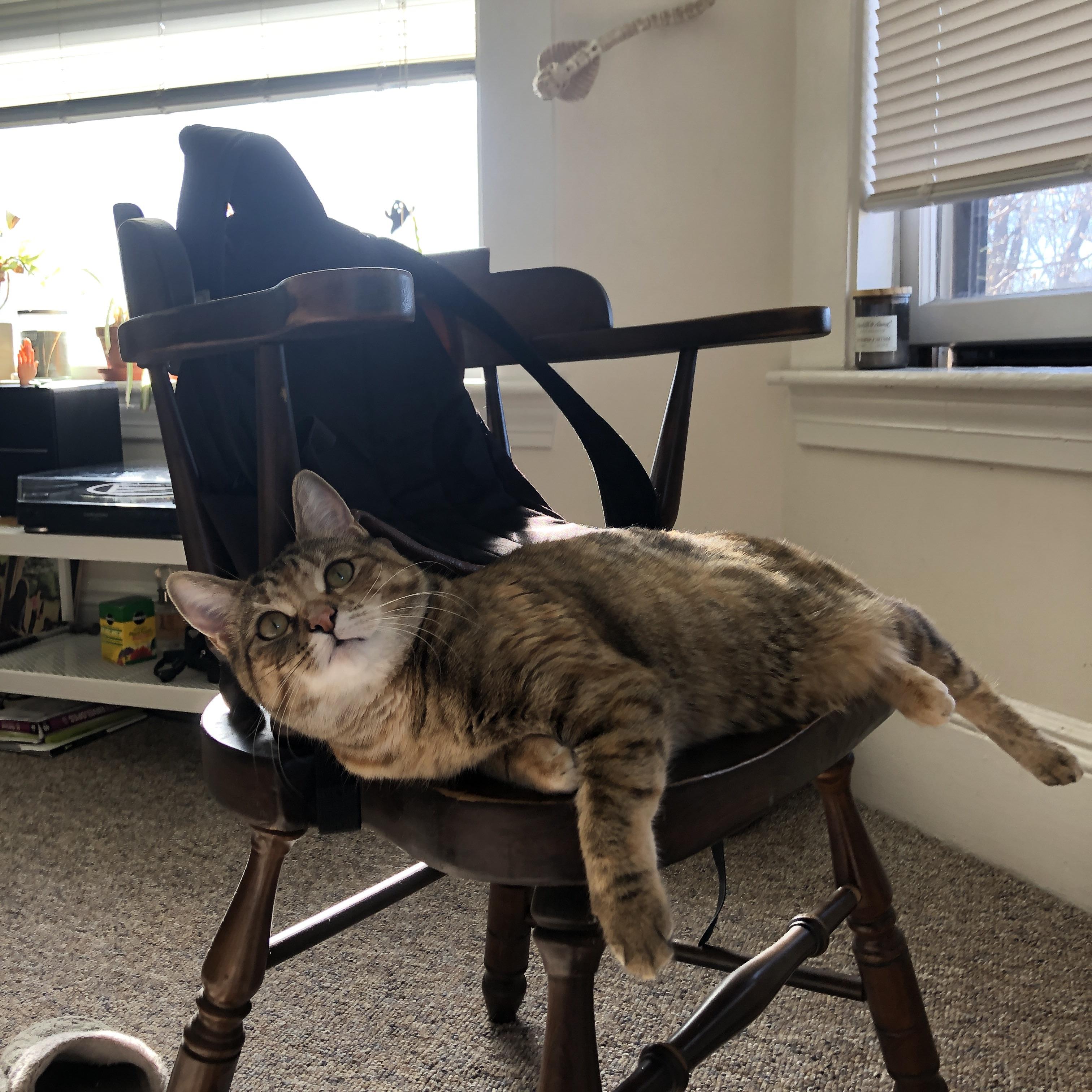 米兰体育官网-国家队训练基地向全国青年开放媒体参观通道，国家体育总局国家队训练基地