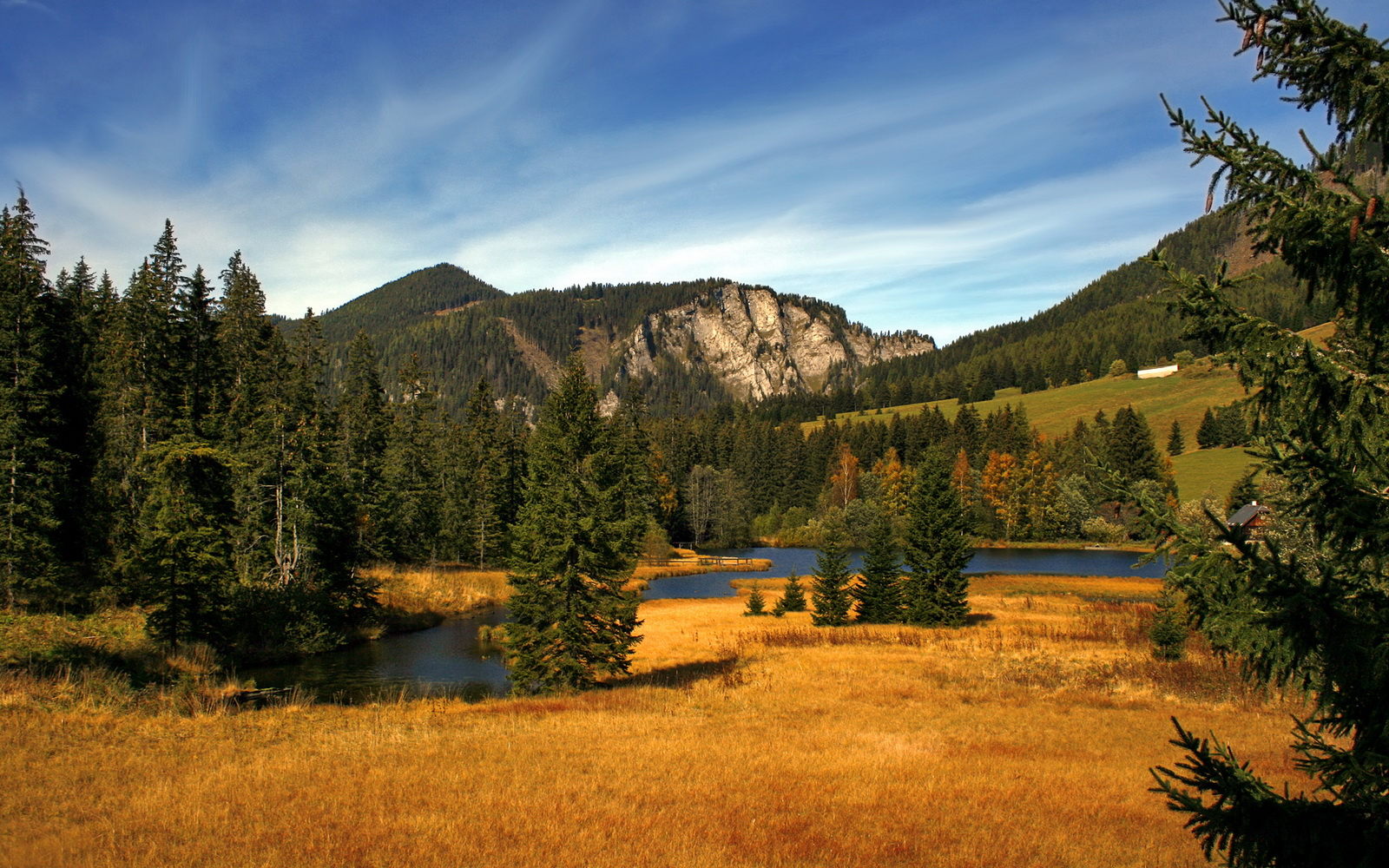 米兰体育官网-威尔士青训人才涌现,橄榄球发展潜力巨大,威尔士ncaa