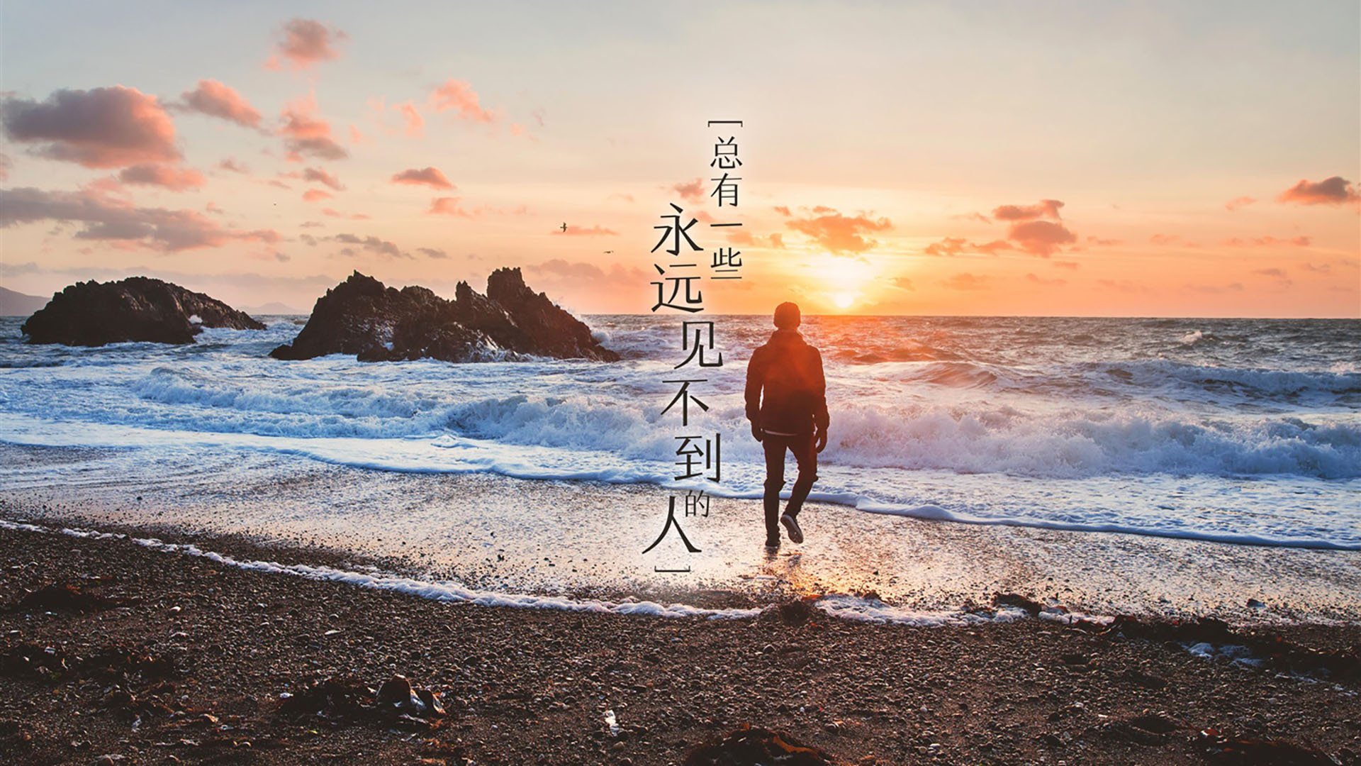 -张伟丽出战海报获千万级曝光量,张伟丽首回合