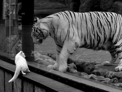 米兰体育APP-新闻中心通报体育赞助商变更信息及协议内容,体育活动赞助商