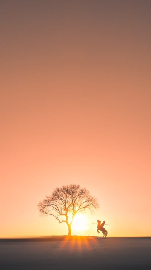 MILANSPORT下载-法国女子队有望成为全球橄榄球新亮点，法国橄榄球运动员日历